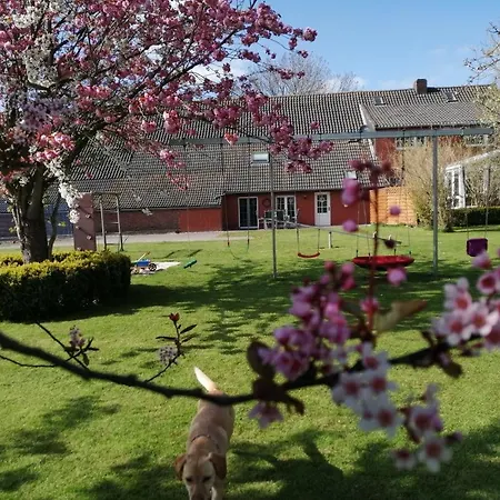 Neu! Hennings Neßmeraltendeich